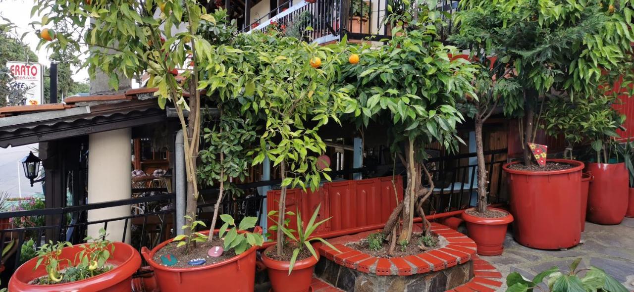 نيوز  بانتيليموناس Apartments Erato المظهر الخارجي الصورة